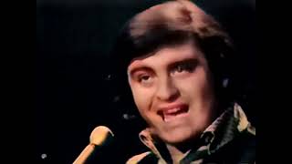 The Turtles – It Ain’t Me Babe (1965)