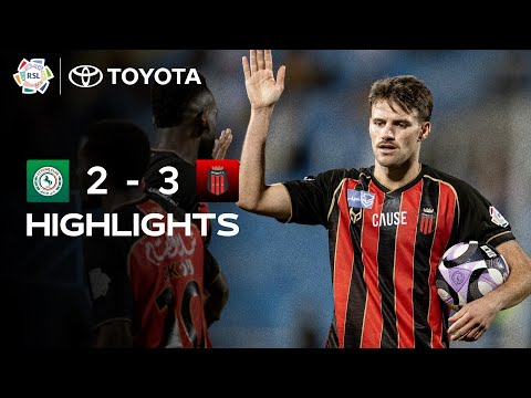 bg-highlight