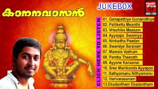 Malayalam Ayyappa Devotional Songs | Kananavasan | Hindu Devotional Songs Audio Jukebox
