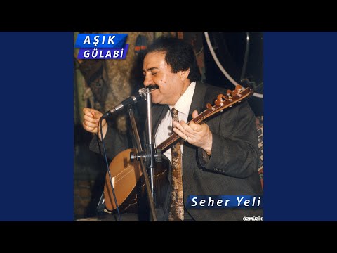Video Yükleniyor...