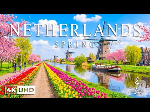 4K Relaxing Scenery and 2 more