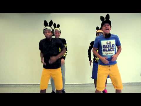 Bonde TNT   Aí que burro  Clipe Oficial   HD