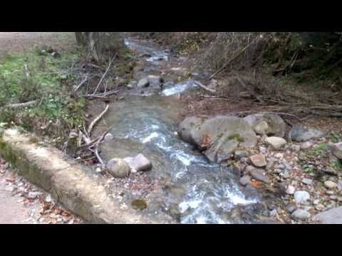 Creek in the mountains
