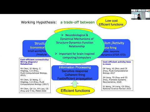 Changsong Zhou: Cost-Efficient Neural Dynamics in E-I Balanced Neural Networks at Criticality