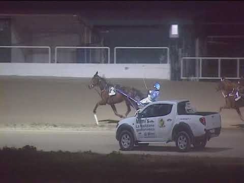 Trotto 04/01/2019 - 7ª corsa