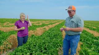 Environmental Impact I Washington Grown