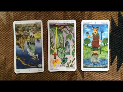 Tarot Reading 12 May 2015 | Psychic Tarot Cards and Numerology: 7