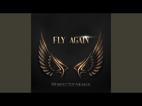 Fly Again