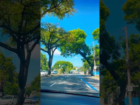 Porto Alegre | Rio Grande do Sul | Brazil: Avenida Nonoai