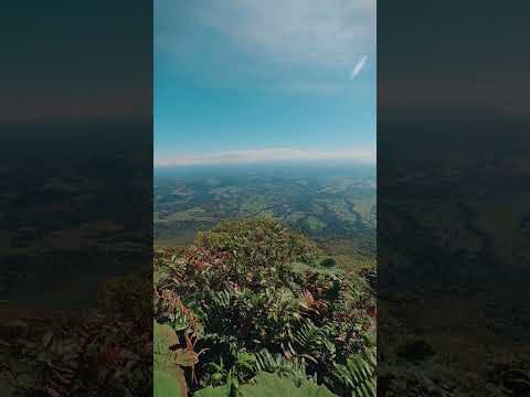 Me urgen unos binoculares 😎 | Volcán Arenal, La Fortuna de San Carlos  #costarica #hiking #alajuela