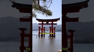 Our Japan top 5 🇯🇵😎 #japan #japantravel #explorejapan #japan2026 #travel