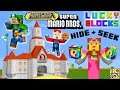 MARIO, LUIGI & PRINCESS PEACH play MINECRAFT!  Lucky Block Hide & Seek FGTEEV Challenge!