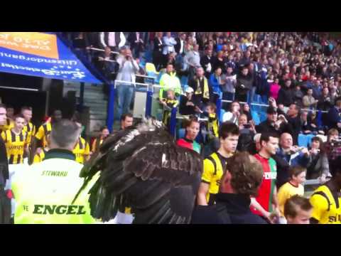 Opkomst spelers VITESSE - nec met Hertog