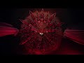 Mayyas Official Aaliyah Official Music Video
