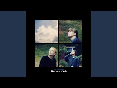 The Absence of Birds