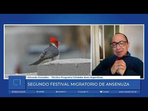 2.° FESTIVAL MIGRATORIO DE ANSENUZA EN LA RINCONADA Y PUESTO DE CASTRO