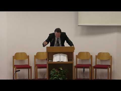 Nenad Đidara - NOVA ZEMLJA