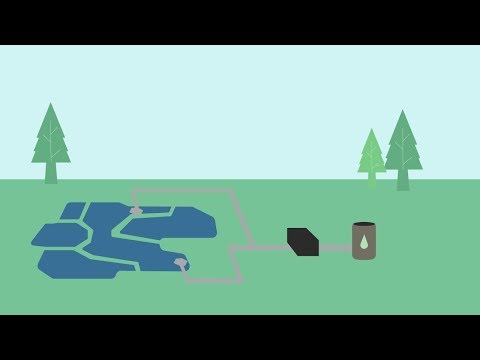 Manta Biofuel: Our Story