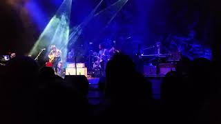 Wilco - "Lonely One" (The Capitol Theatre | 10-30-14)