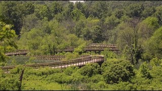 Neabsco Creek Boardwalk opening in Woodbridge