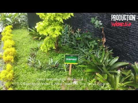 Shinta Arshinta Feat Wisnu Jaya   HTS Official Music Video  Awak Dewe Ora Ono Status Pacaran
