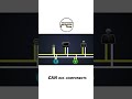 Understanding CAN bus