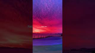 Download lagu 🥺 Character Dheela Hai 💔 Aesthetic Status 💫 Slowed And Reverb Song 🥀 Feeling Station 🕊️ mp3