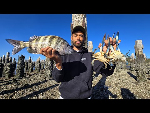 4 Days in Florida - Fishing, Crabbing, Cooking What We Catch