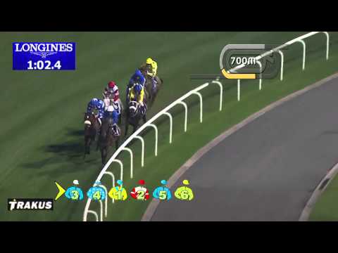 30.01.2014 Meydan (Dubai-UAE) 3.Race Cape Verdi Sponsored By DUBAL 2014 - Group II 1.600 m