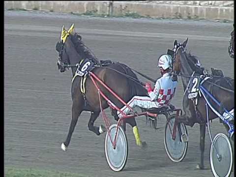 Trotto 14/04/2017 - 7ª corsa