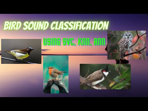 BIRD SOUND CLASSIFICATION USING DEEP LEARNING | ANN  | LSTM | PYTHON
