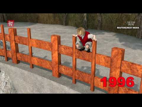 Before Harambe shooting, gorillas had a history of protecting children from harm