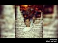 Anna Murali Anna Songs