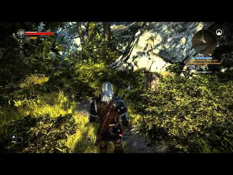 The Witcher 2 - Part 24: Geralt finds chicken (No Commentary)