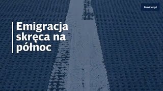 Skandynawia w emigracyjnej czołówce | Bankier.pl