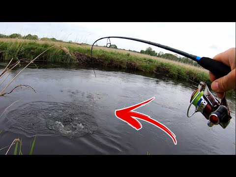 To nie miało się prawa wydarzyć !!!