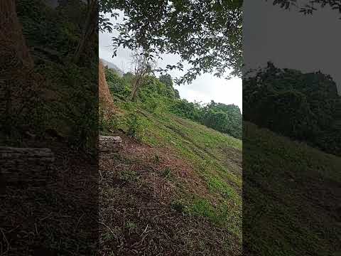 # Dharma Odia Film, Hero Akash Das Nka " Best Dialogue " # Plz Like Share Subscribe.