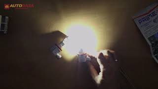 Prime-X MINI H11 5000K 20W 12-24V - відео 1