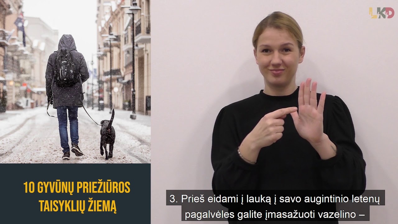 10 gyvūnų priežiūros taisyklių žiemą