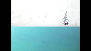 Neil Halstead - Digging Shelters