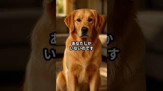 犬の十戒（原文）　　 #犬動画 #動物動画 #犬のいる暮らし #雑学 #豆知識