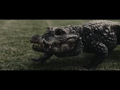 Gzuz, Kolja Goldstein, LX, Apache 207, Maxwell, Bozza, Sa4, Azet, AK, ...- Mai Rückblick Mix