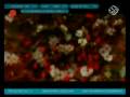 Ennio Morricone & Dulce Pontes Your Love 