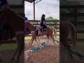 Cool Smell From Horse Ass Horse Funnyreel Animal Pet Horseriding Viralreel Trendingvideo