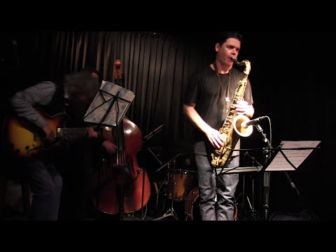 Seamus Blake & The Tommy Halferty Trio : Live in Dublin
