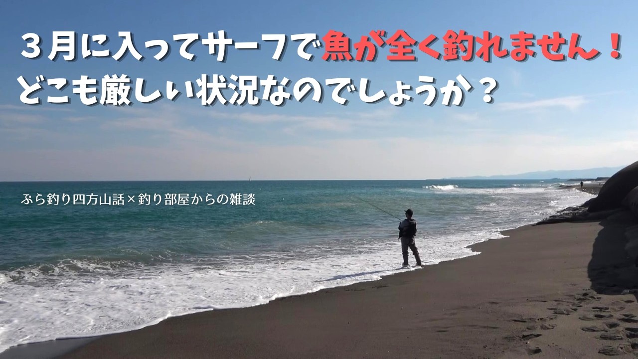 ３月に入ってサーフで魚が全く釣れません！どこも厳しい状況なのでしょうか？・・・釣り部屋からの雑談・四方山話３３５