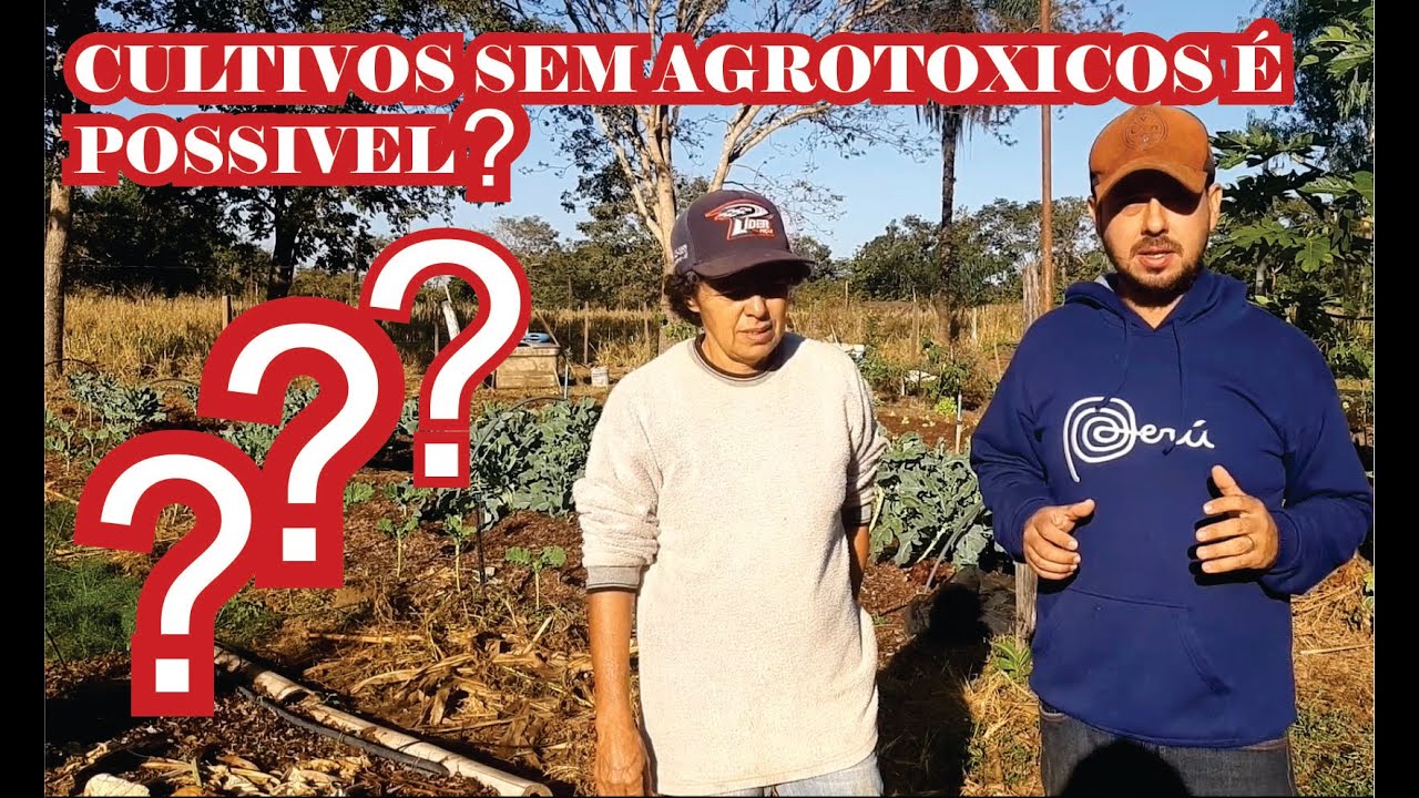 Agricultura Natural é Orgânica? Sintrópica? Como funciona um sistema de cultivo sem agrotóxicos!