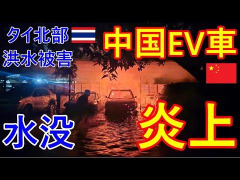 電気自動車:心理学者が電気自動車に対する憎悪を説明する