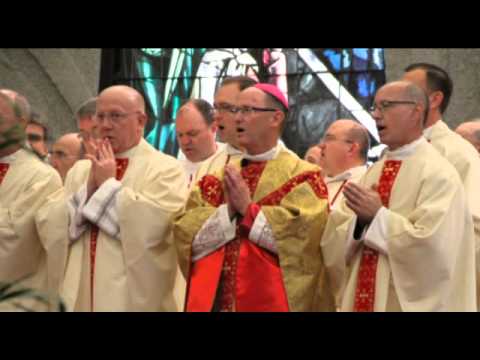 Click to Watch the Bishop James Conley: The Love of God is Found Precisely at the Foot of the Cross  video