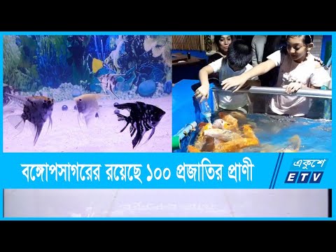 আবারো সরব দেশের প্রথম এ্যাকুরিয়াম রেডিয়েন্ট ফিশ ওয়ার্ল্ড